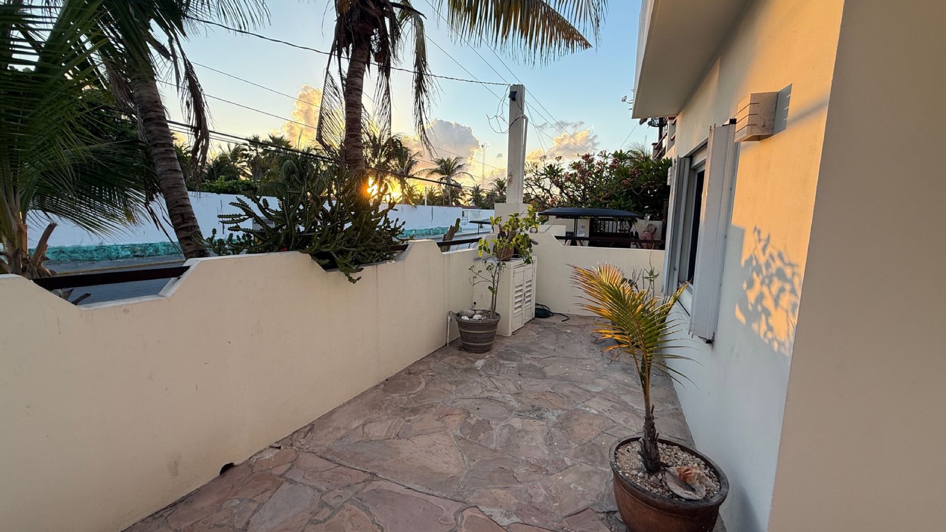 Side patio with potted palms near the entrance — Rincón del Descanso Isla Mujeres